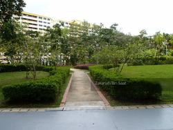 Blk 214 Petir Road (Bukit Panjang), HDB 3 Rooms #137163722